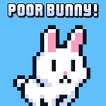 Poor Bunny : 10 Amazing Tips to Master This Fun Adventure